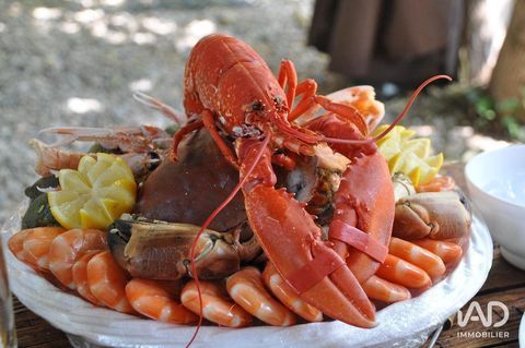 Vente Restaurant 250 m&sup2; 275000 17310 Saint-pierre-d'ol�ron