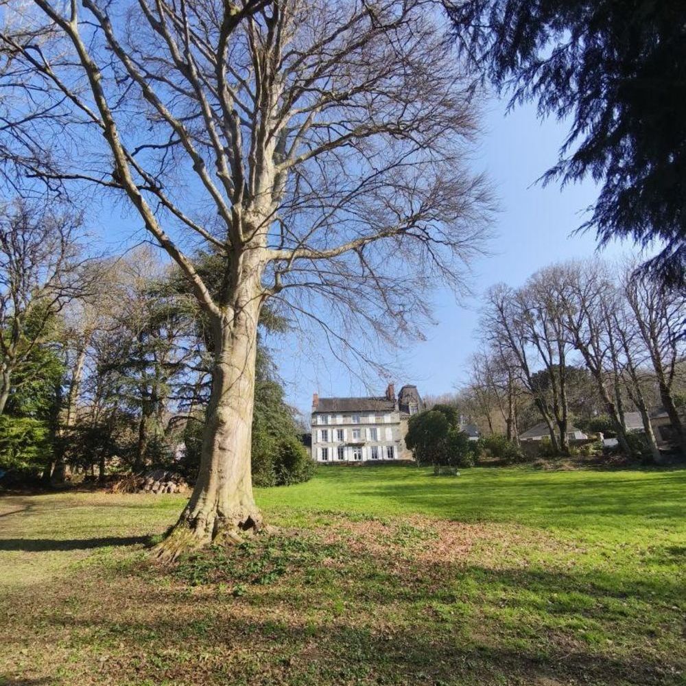 � vendre  Propri�t�/ch�teau Guingamp (22200)