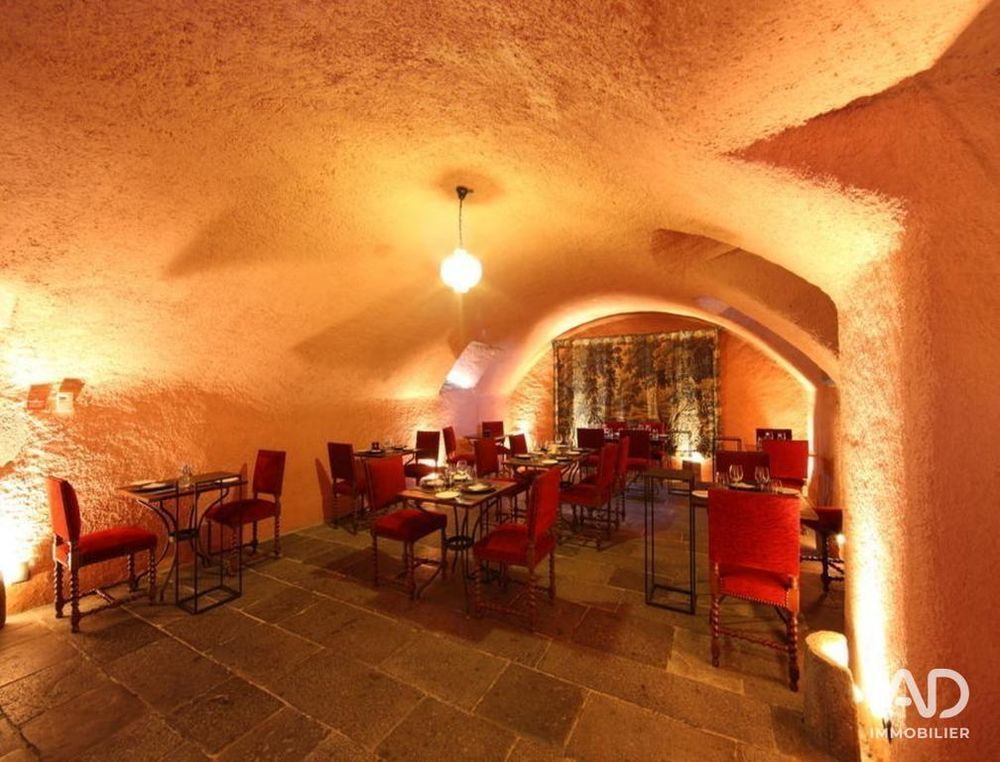 � vendre  Propri�t�/ch�teau Saint-Georges (15100)