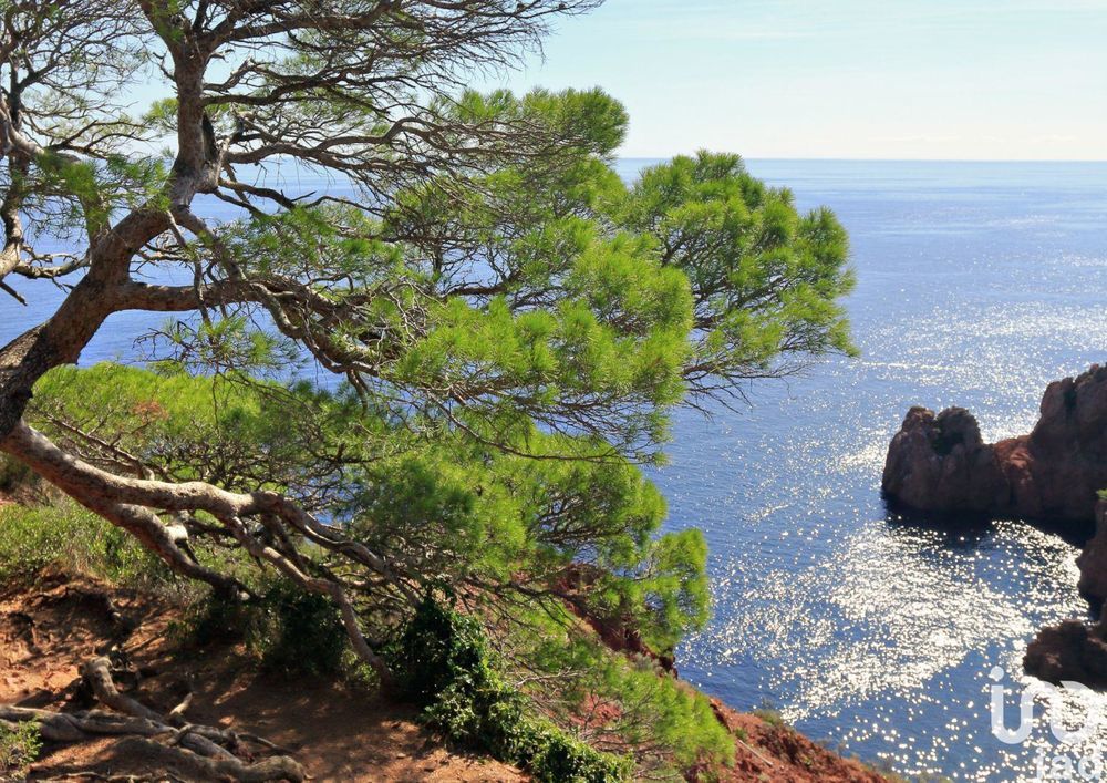 � vendre  Maison Le Lavandou (83980)