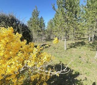  Terrain � vendre 512 m�