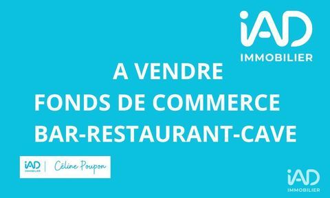 Vente Bar-brasserie 208 m&sup2; 228000 35510 Cesson-s�vign�