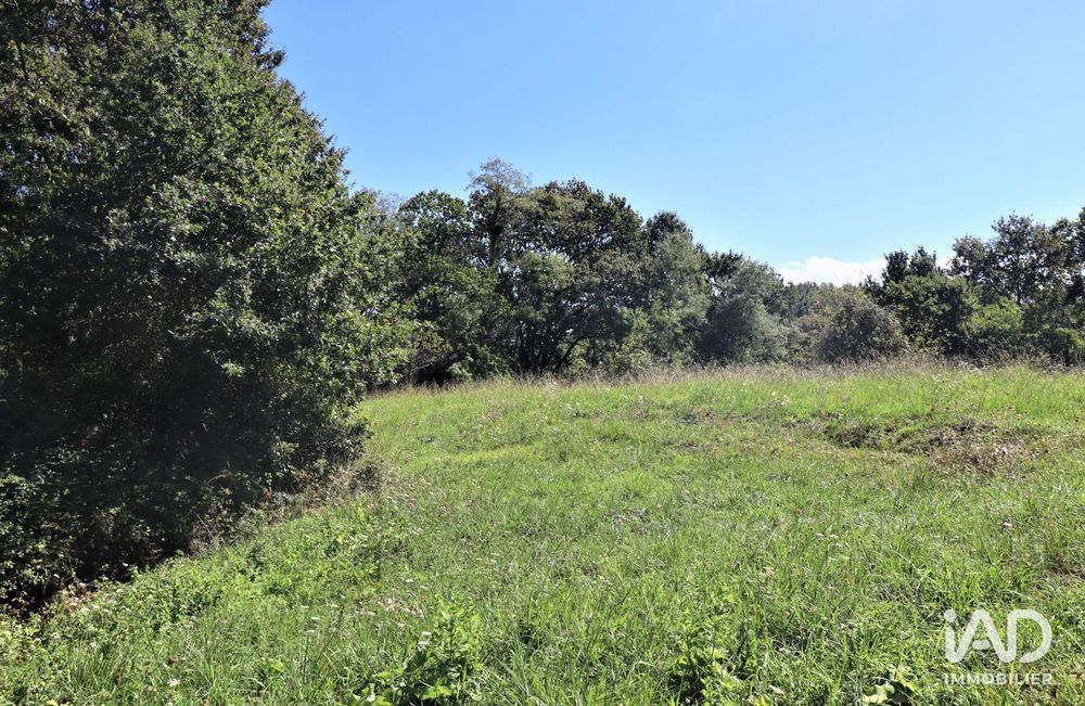 � vendre  Maison Saint-Martin-de-Hinx (40390)