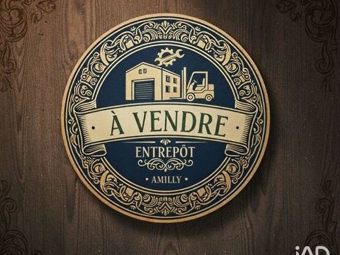 Vente Murs commerciaux 1 180 m&sup2; 734000 45200 Amilly