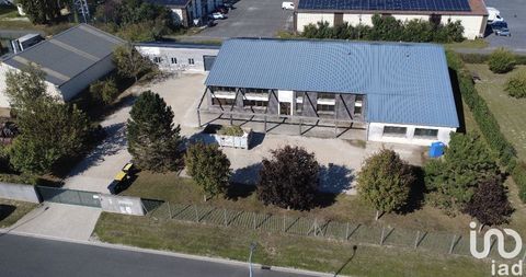 Location Local d'activités 978 m&sup2; 5500 77120 Amillis