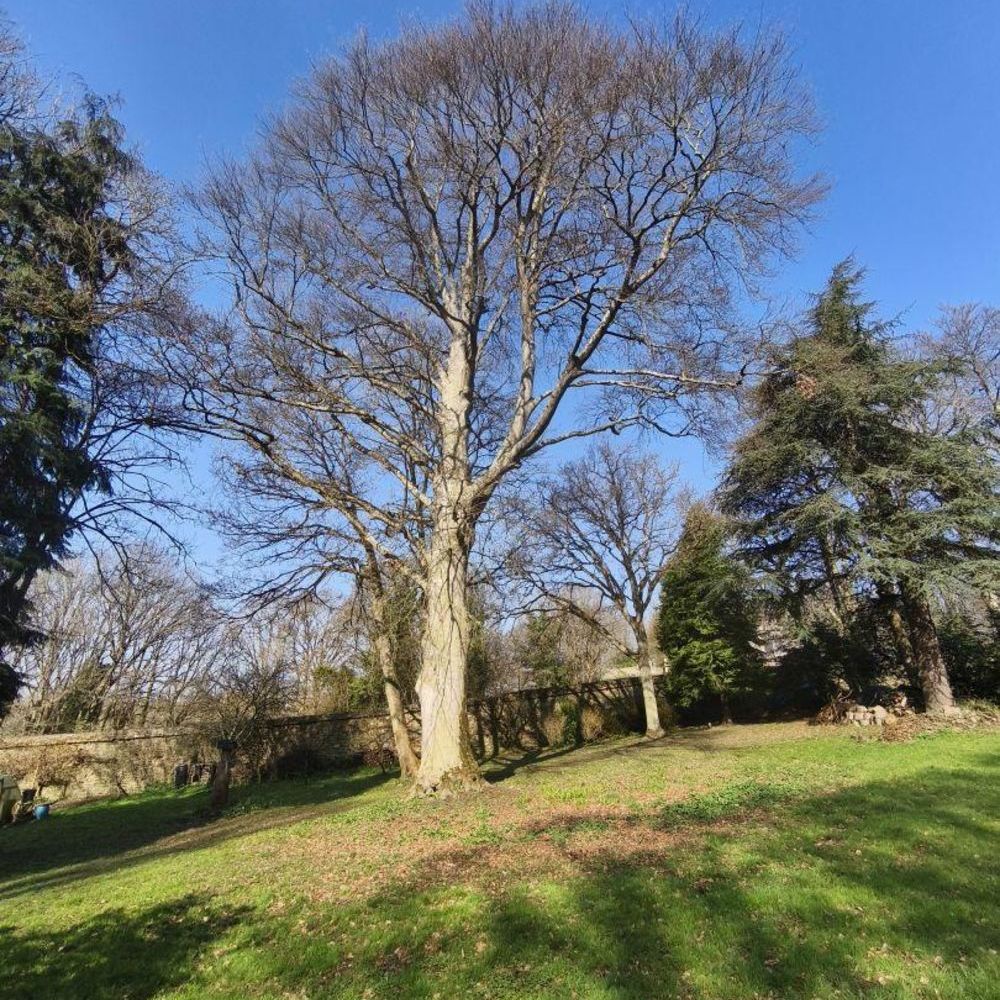 � vendre  Propri�t�/ch�teau Guingamp (22200)