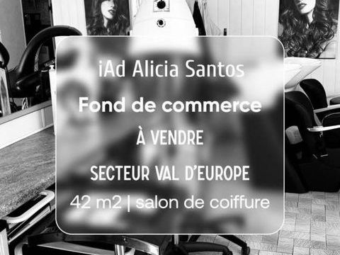 Vente Local d'activit&eacute;s 42 m&sup2; 49000 77600 Bussy-saint-georges