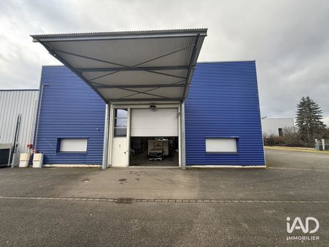 Location Hangar 527 m&sup2; 3500 67600 Selestat