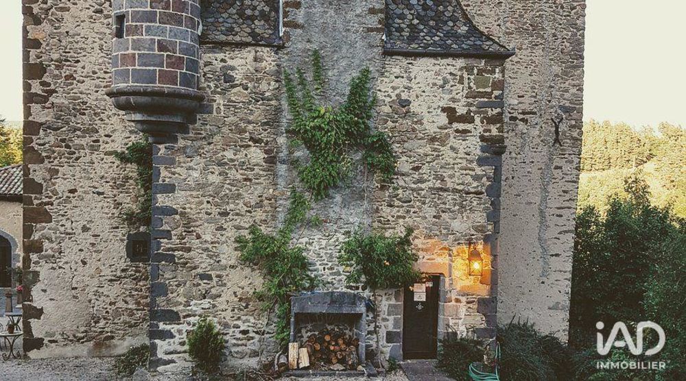 � vendre  Propri�t�/ch�teau Saint-Georges (15100)