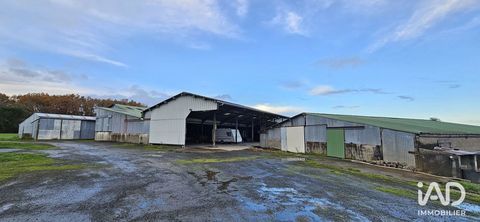 Vente Hangar 1 300 m&sup2; 77000 85260 Les brouzils
