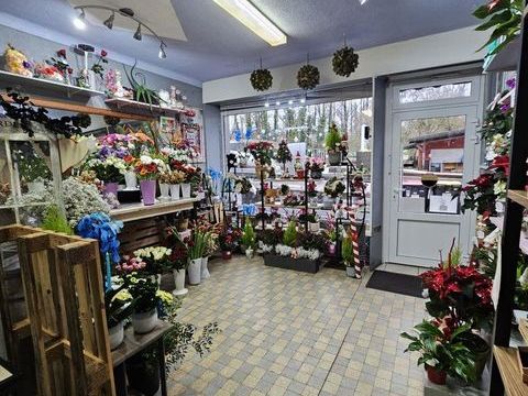 Vente Surface diverse 45 m&sup2; 67000 54430 R�hon