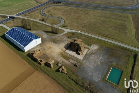 Vente Hangar 2 900 m&sup2; 840000 45490 Gondreville