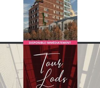  Loft � vendre 4 pi�ces 96 m�