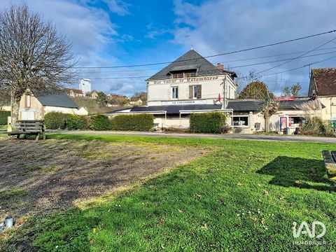 Vente Bar-tabac 390 m&sup2; 250000 89220 Rogny-les-sept-�cluses