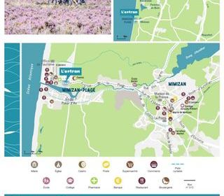  Appartement � vendre 3 pi�ces 56 m�