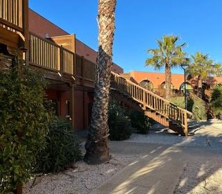  Appartement � vendre 3 pi�ces 42 m�