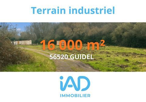 Vente Murs commerciaux 16 000 m&sup2; 559900 56520 Guidel