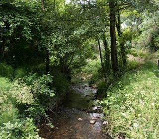  Maison � vendre 15 + pi�ces 668 m�