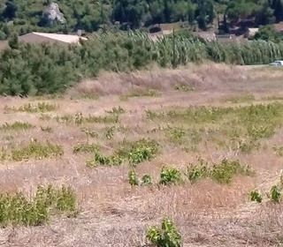  Terrain � vendre 428 m�