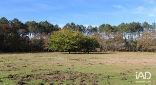  Maison � vendre 15 + pi�ces 430 m�