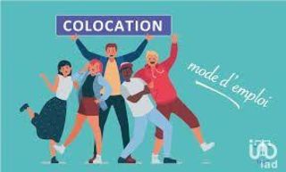  Appartement � louer 1 pi�ce 11 m�