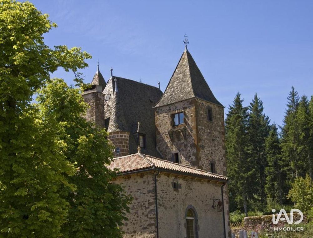 � vendre  Propri�t�/ch�teau Saint-Georges (15100)