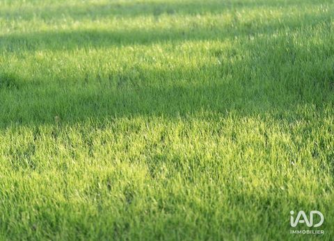 Location Surface diverse 3 000 m&sup2; 2400 49070 Beaucouz�