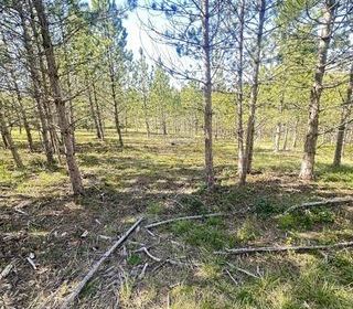  Terrain � vendre 512 m�