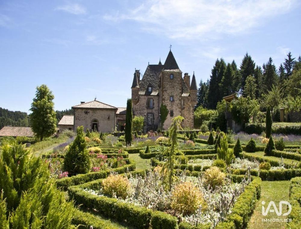 � vendre  Propri�t�/ch�teau Saint-Georges (15100)