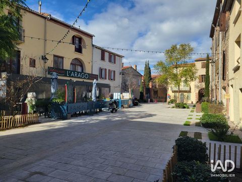 Vente Pizzeria 100 m&sup2; 250000 66690 Saint-andr�