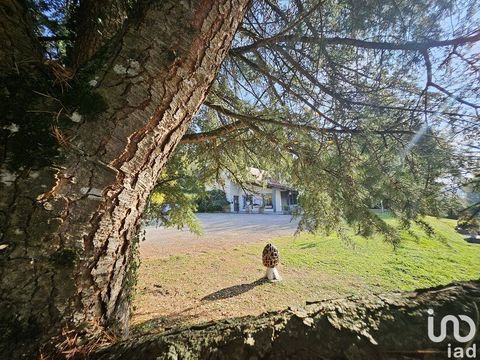 Vente Murs commerciaux 400 m&sup2; 392000 01300 Virignin