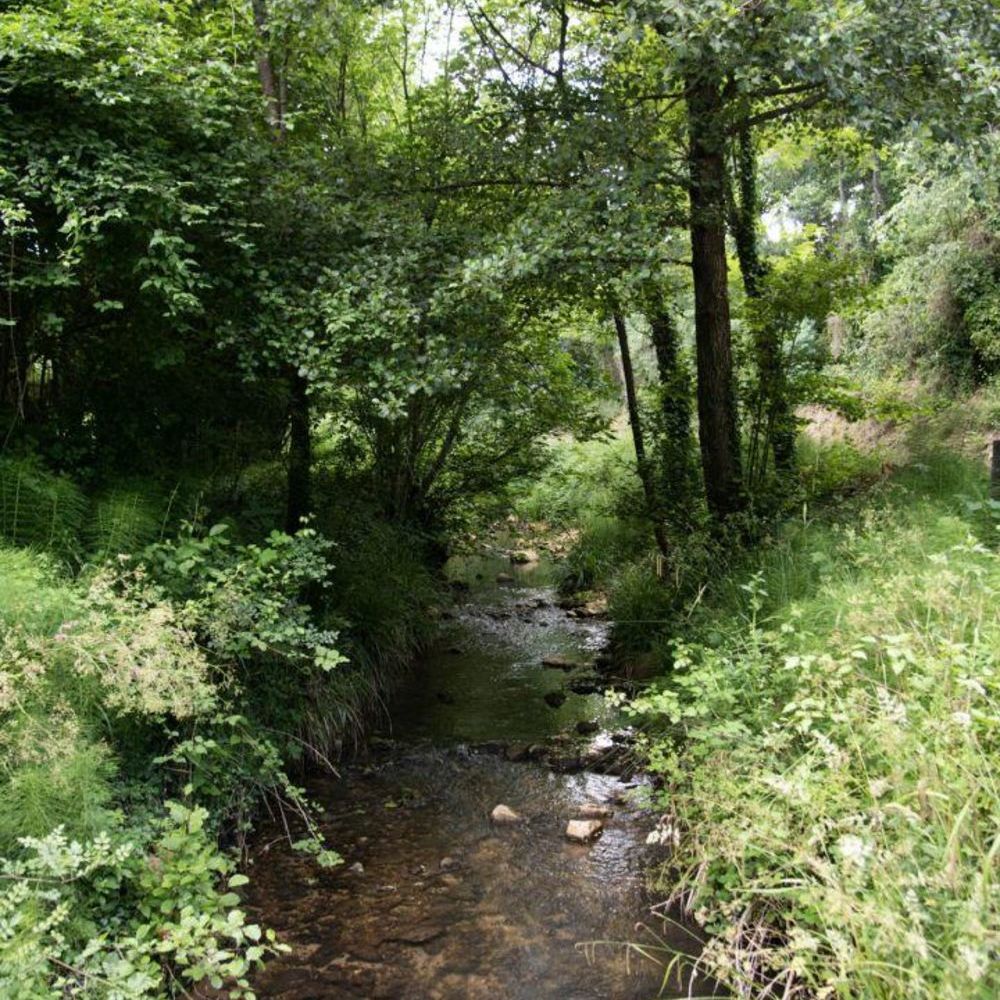 � vendre  Maison Sabran (30200)