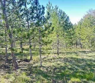  Terrain � vendre 501 m�