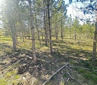  Terrain � vendre 512 m�