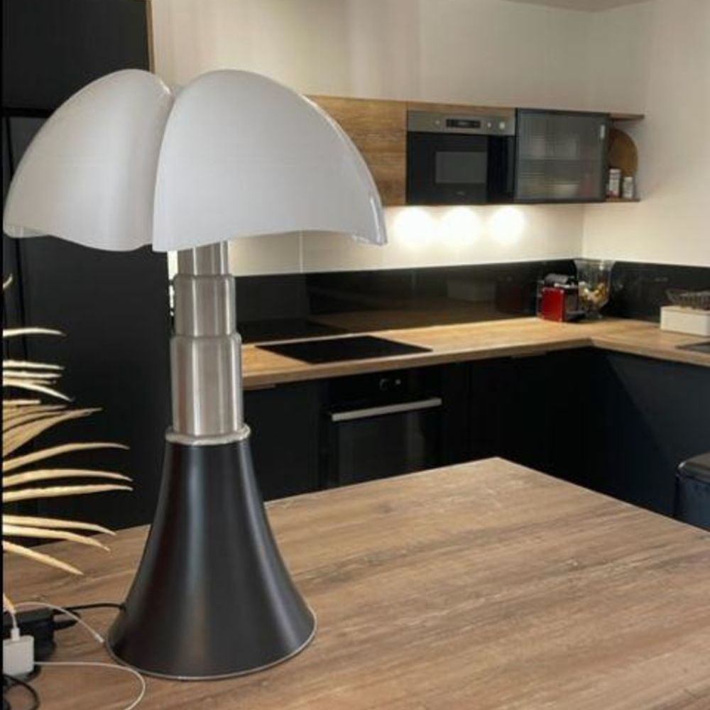 � vendre  Maison Villeneuve-Loubet (06270)