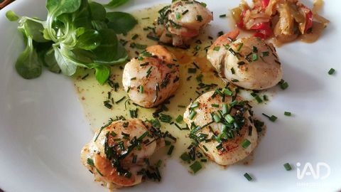 Vente Restaurant 164 m&sup2; 357000 14400 Bayeux