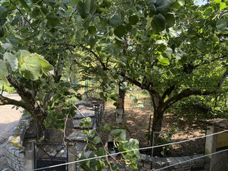  Maison � vendre 8 pi�ces 264 m�