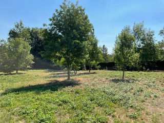  Terrain � vendre 1633 m�