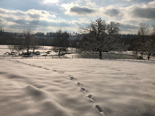  Maison � vendre 6 pi�ces 350 m�