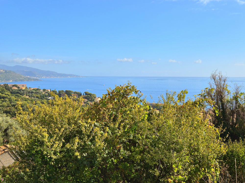 � vendre  Maison Roquebrune-Cap-Martin (06190)
