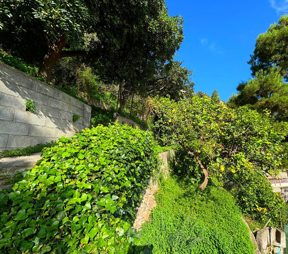 � vendre  Maison Menton (06500)