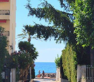  Appartement � vendre 2 pi�ces 37 m�