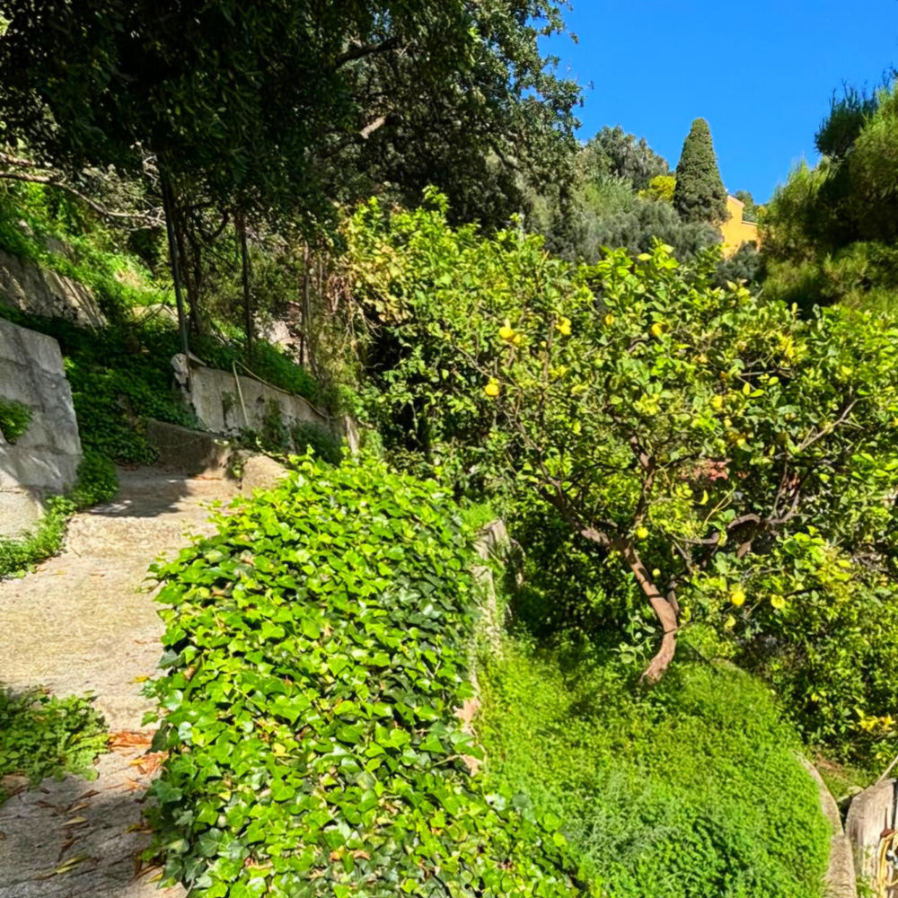 � vendre  Maison Menton (06500)