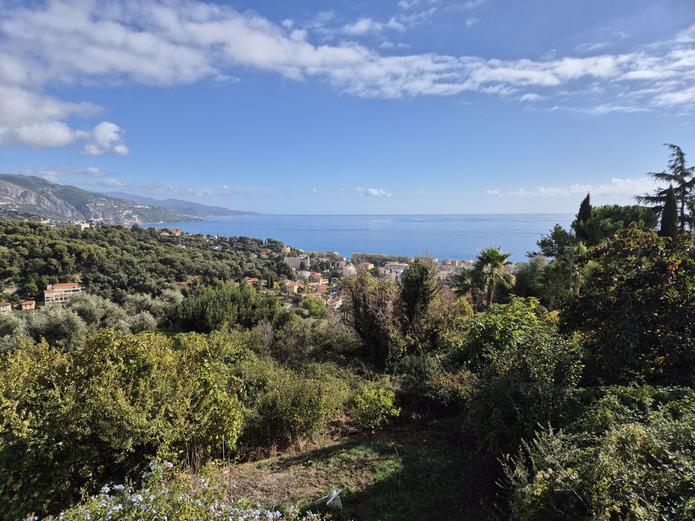 � vendre  Maison Roquebrune-Cap-Martin (06190)