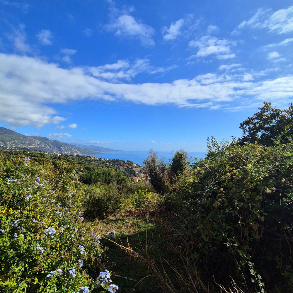 � vendre  Maison Roquebrune-Cap-Martin (06190)