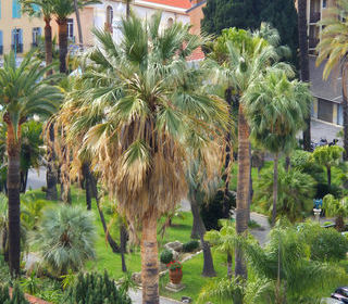  Appartement � vendre 3 pi�ces 74 m�