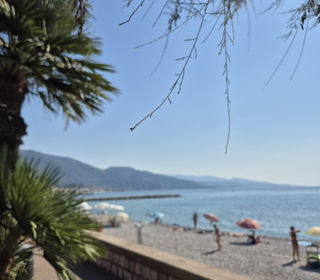  Appartement � vendre 2 pi�ces 30 m�