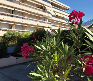  Appartement � vendre 2 pi�ces 37 m�