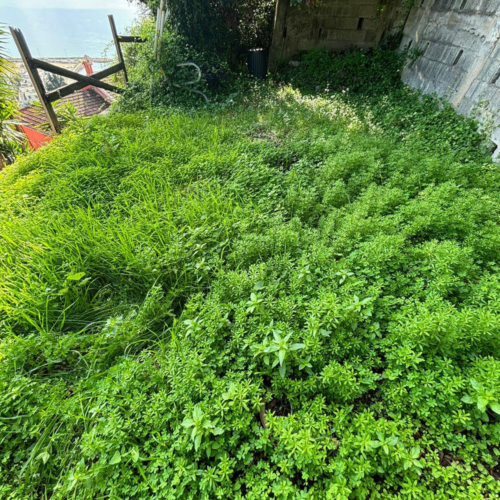 � vendre  Maison Menton (06500)