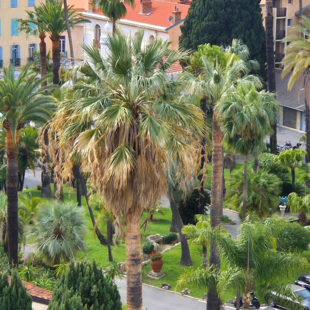 � vendre  Appartement Menton (06500)